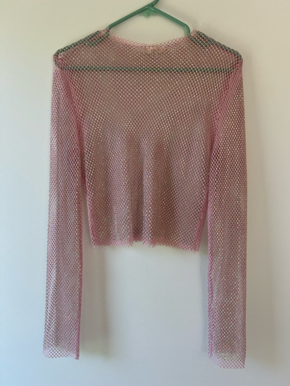 Sheer Pink Mesh Long-Sleeve Crop Top - Picture 1 of 3